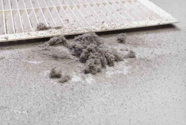 Best Professional Duct Cleaning Services  in East Berlin, PA
